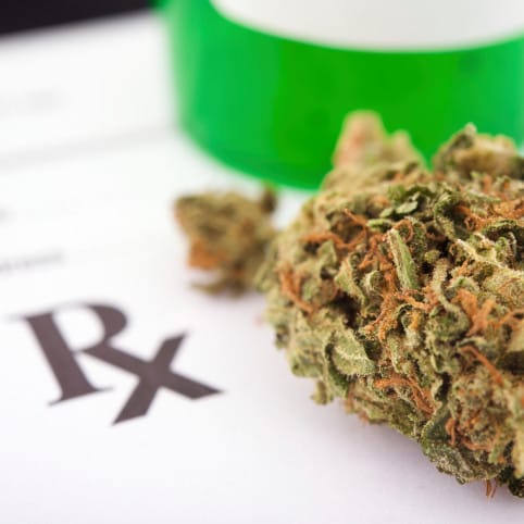 Drop these charges: Medical cannabis supplier looks to a legal future