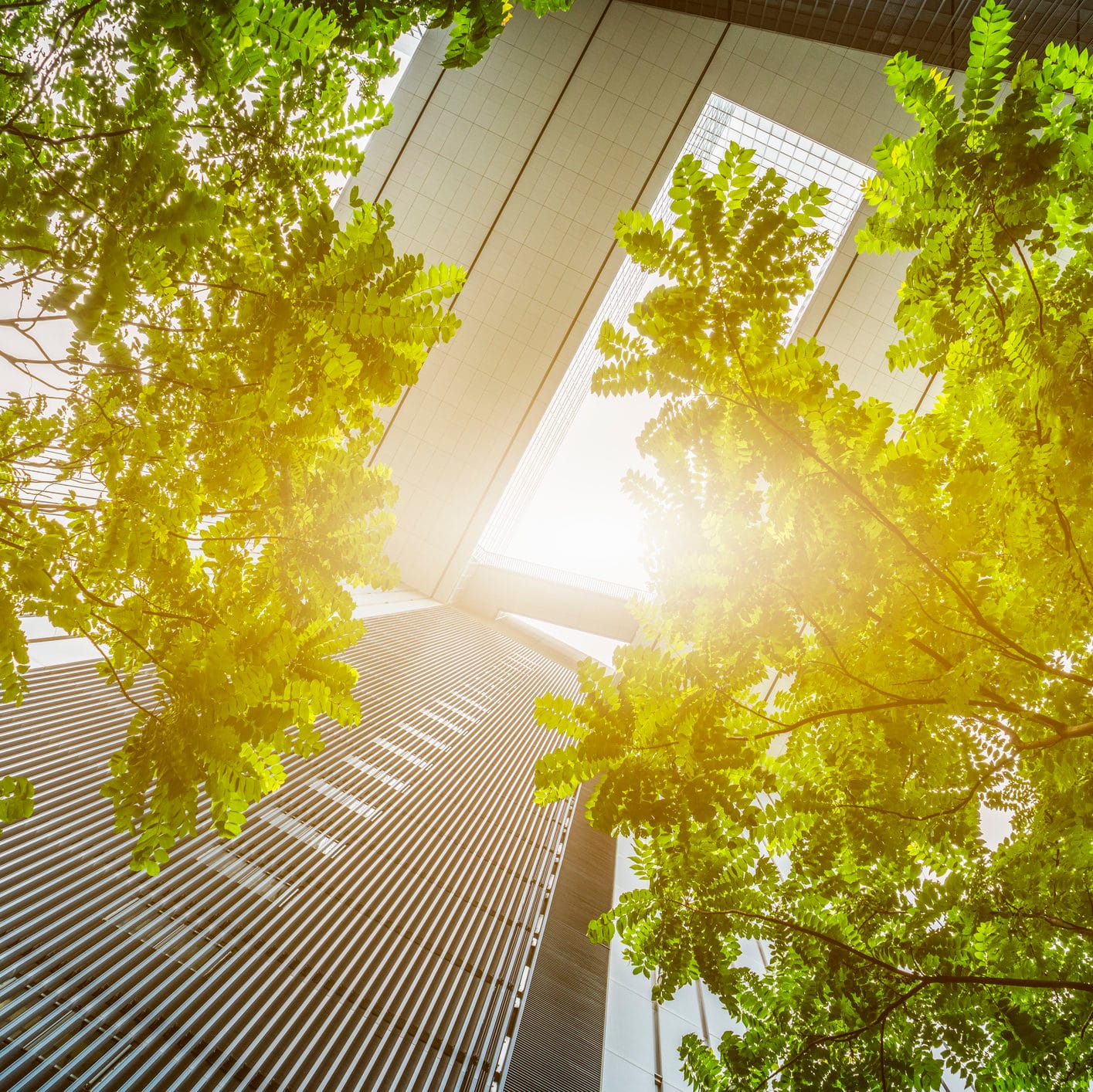 City on track for carbon neutral status