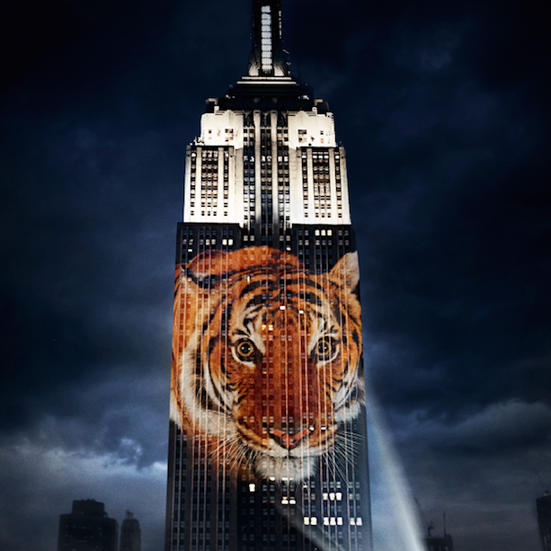 Review: Racing Extinction