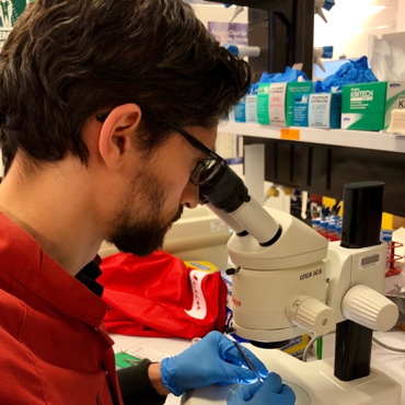 Monash researcher goes ‘out on a limb’