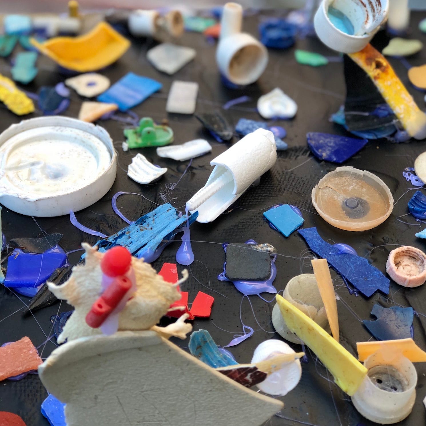 Plastic-free fantastic at Southern Gippsland Sustainability Festival
