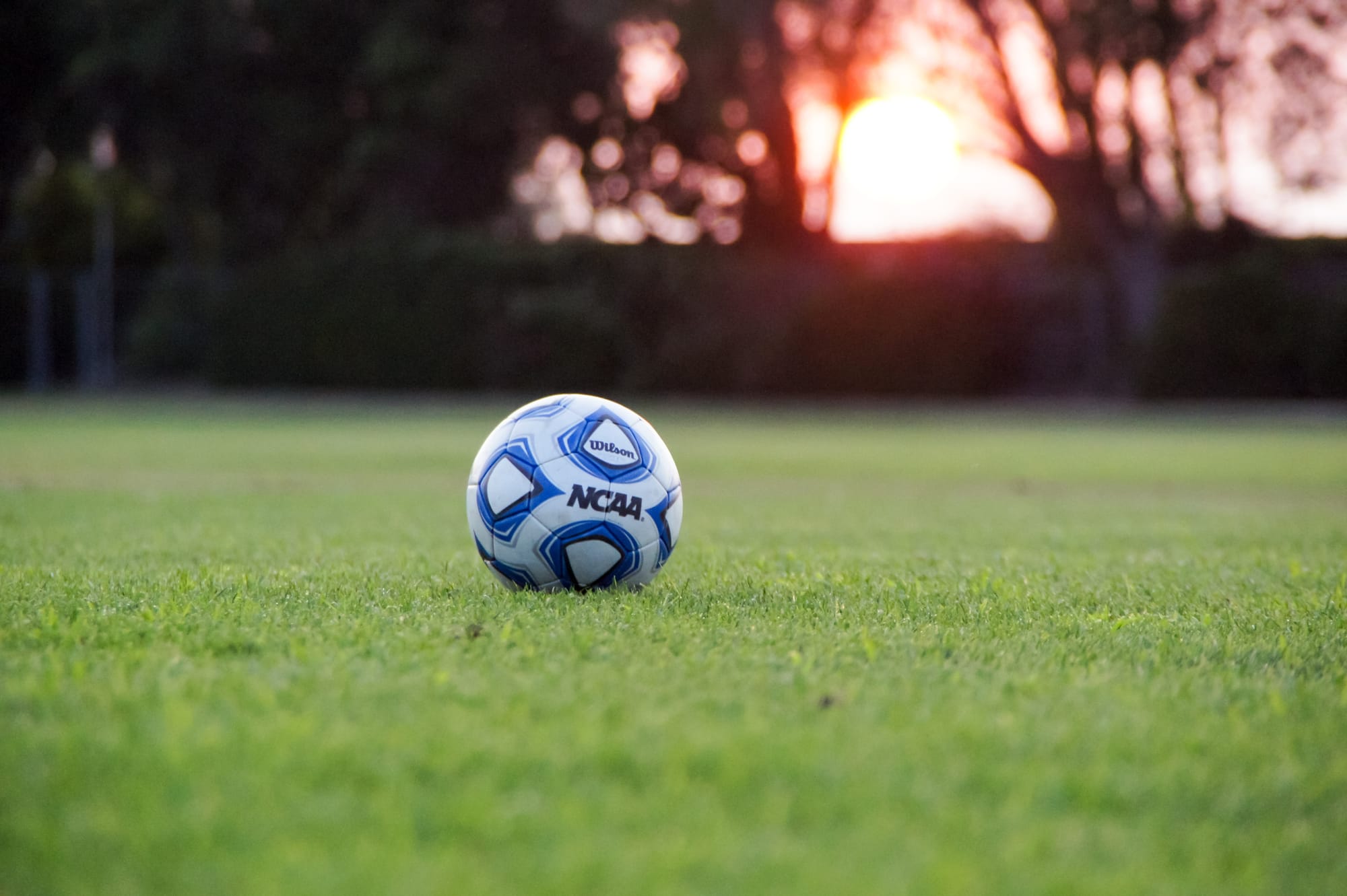 Athletes' competitive edge curbed by COVID