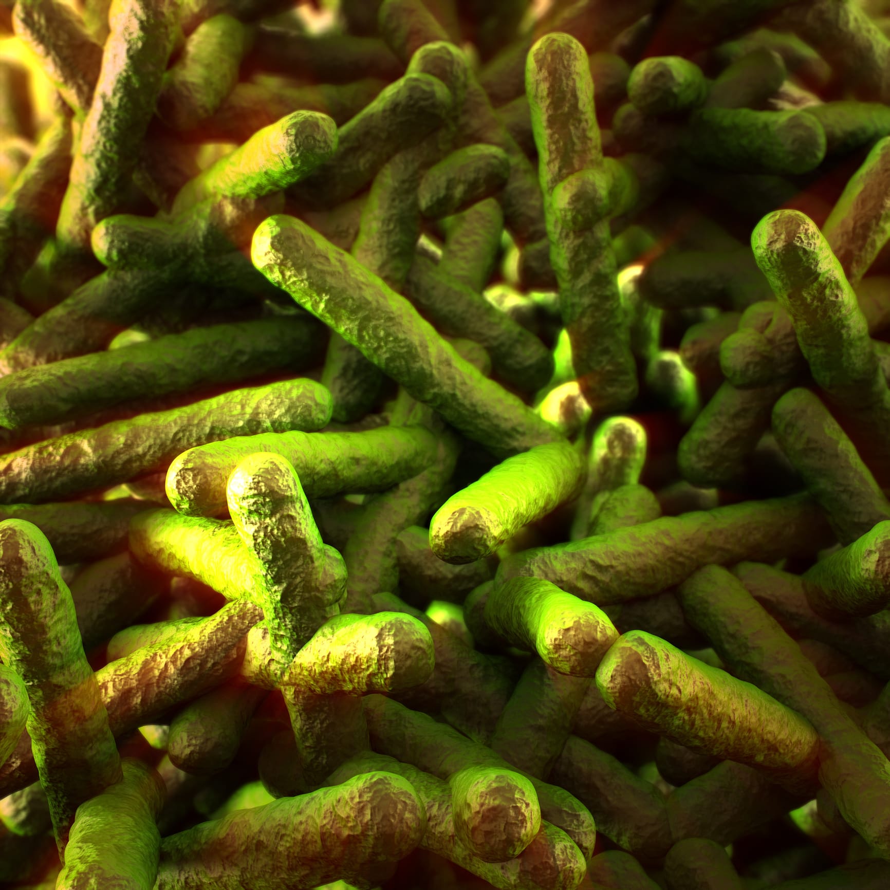 Food poisoning – common but potentially deadly