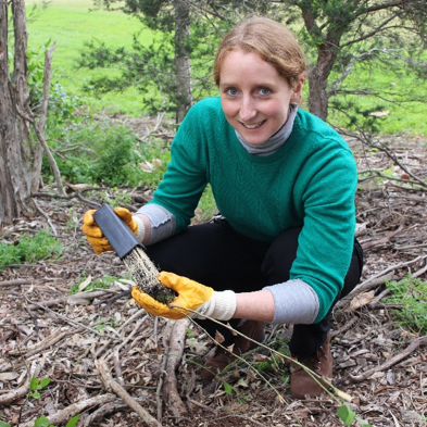 Saving lives with urban forests