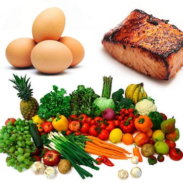 You have no proof: paleo critics launch new attack