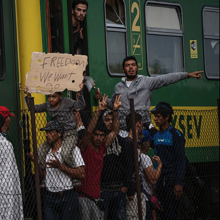 Poll: Should Australia increase its refugee intake?