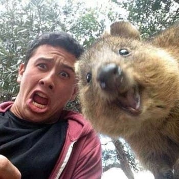 Quokka selfies: tourism boon or conservation doom?