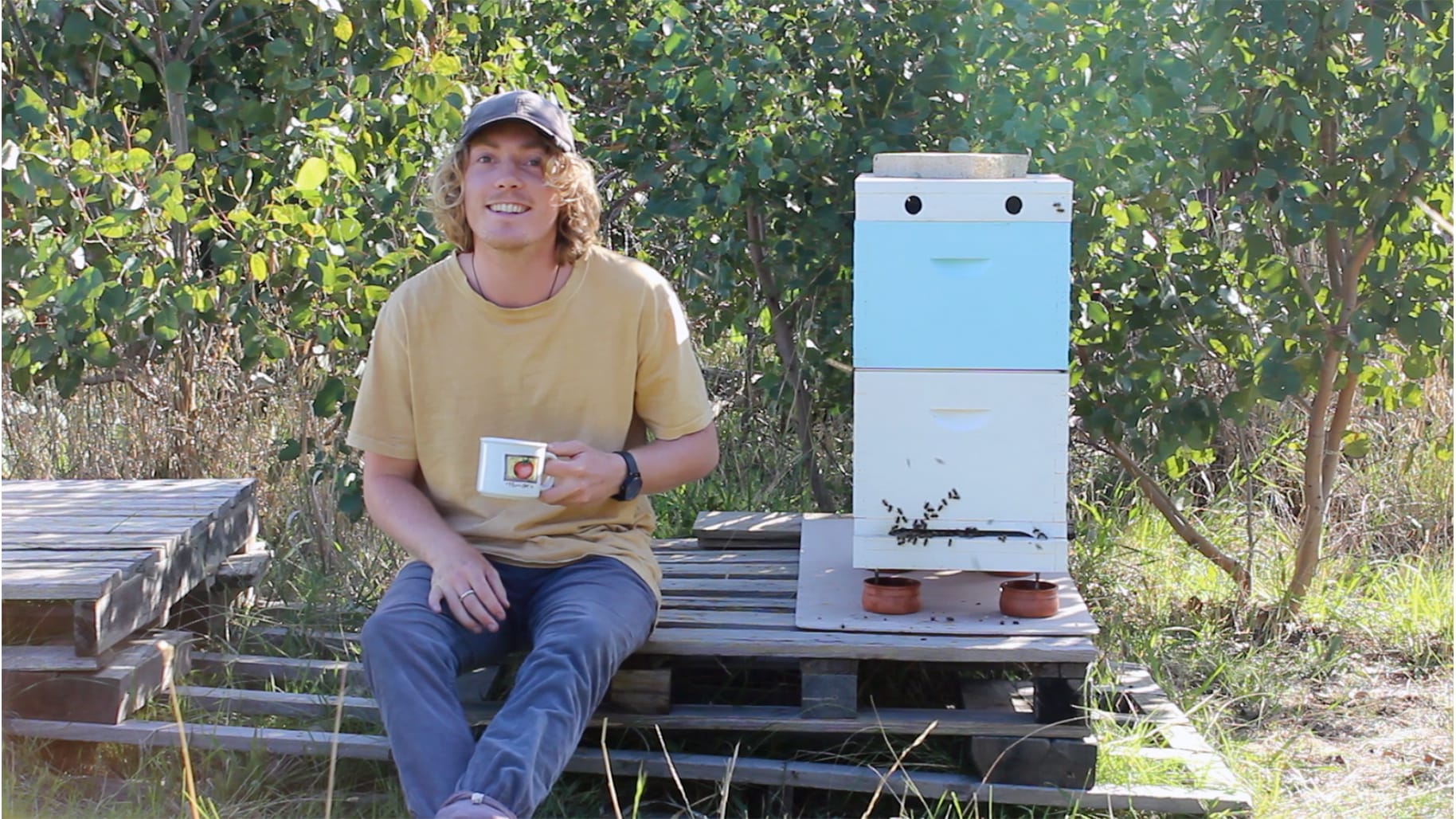 Coastal Nectar: A buzzing new beekeeping project