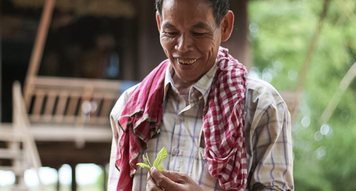 Natural remedies take a sting as Cambodians look west