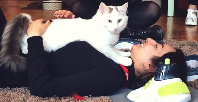 Café hits a purr-fect note with cat lovers