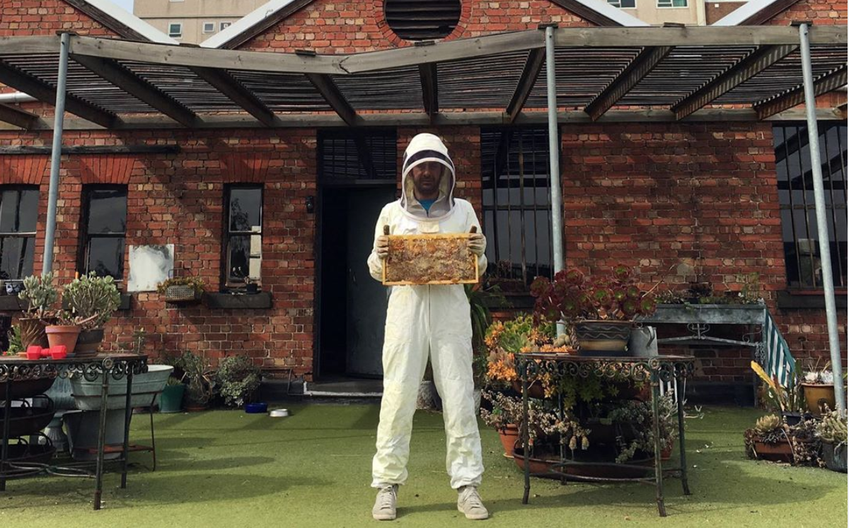 Beekeepers using city rooftops to protect precious colonies