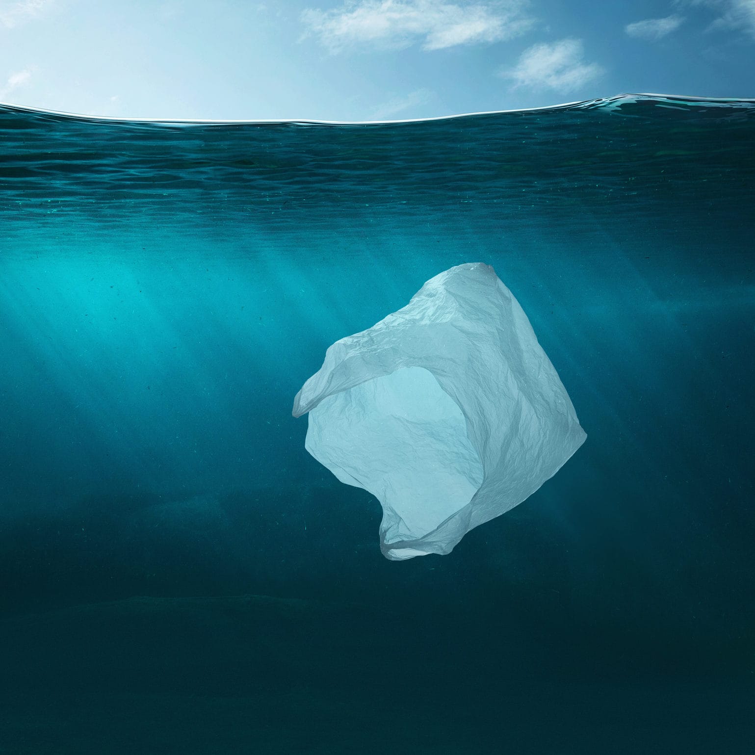 Plastic is plastic: A greener alternative to reusable bags