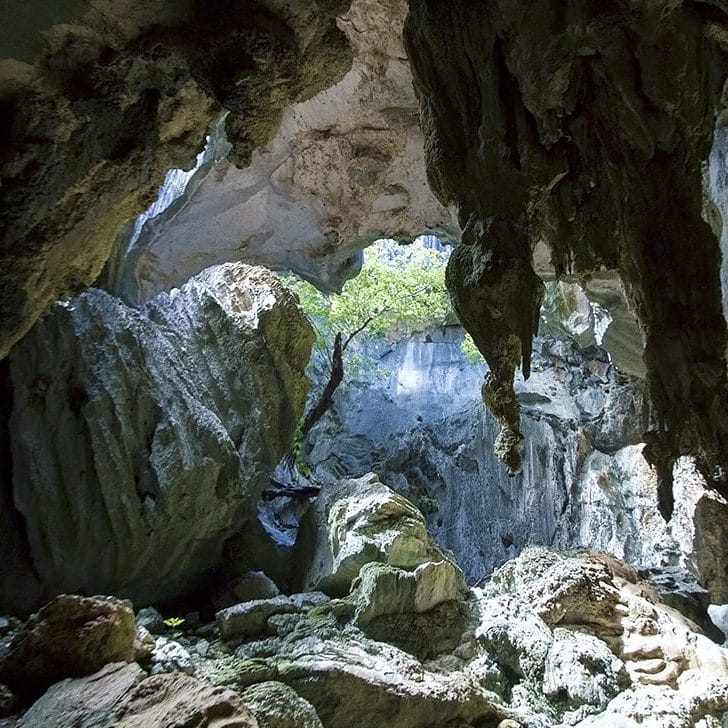 Life below the surface: The legacy of an ancient sea lives on in Chillagoe's thriving caves
