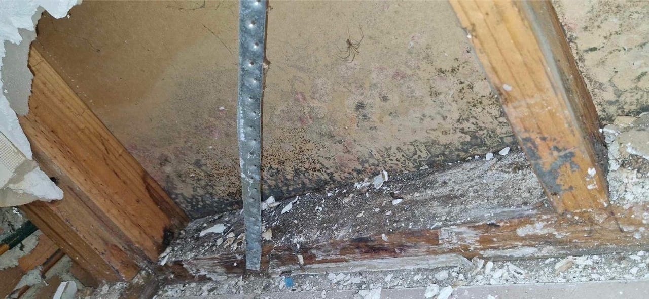 ‘Nobody wants to help me’: Pleas to fix ‘unliveable’ social housing in Victoria