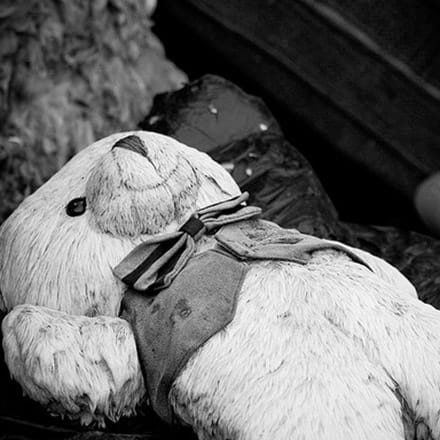 Healing journey for a victim of abuse