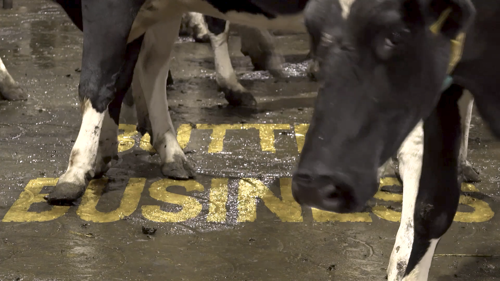 BUTTER BUSINESS: The Market Forces Making Milk More Expensive