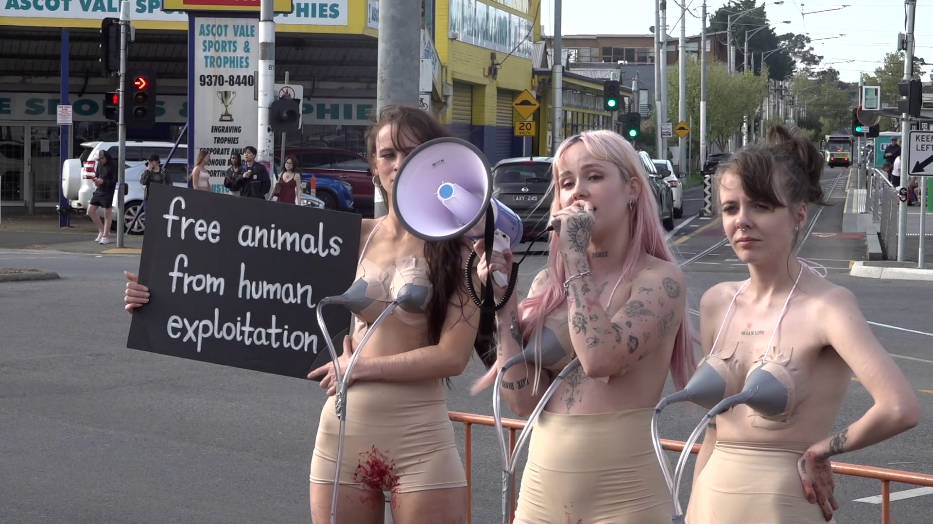 Udder outrage: Vegan activists stage milking machine protest at Melbourne Royal Show