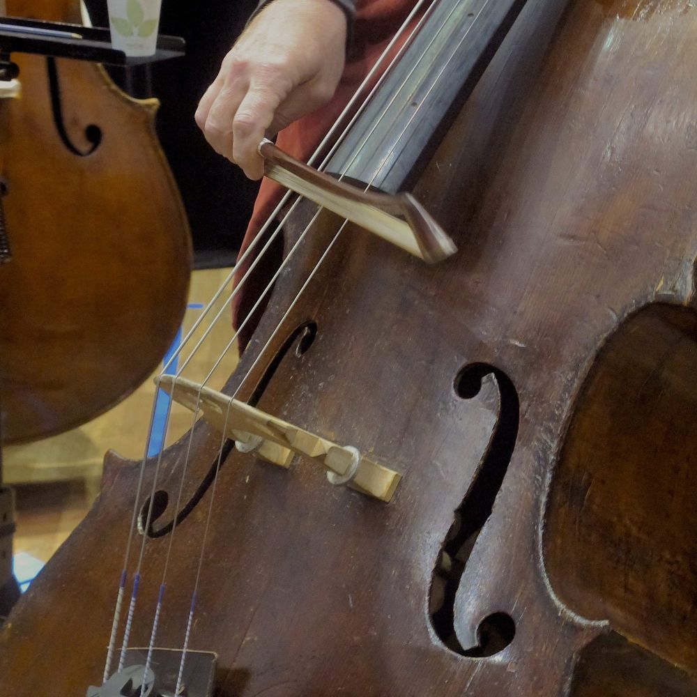 The game of music: A close encounter with a double bass post image