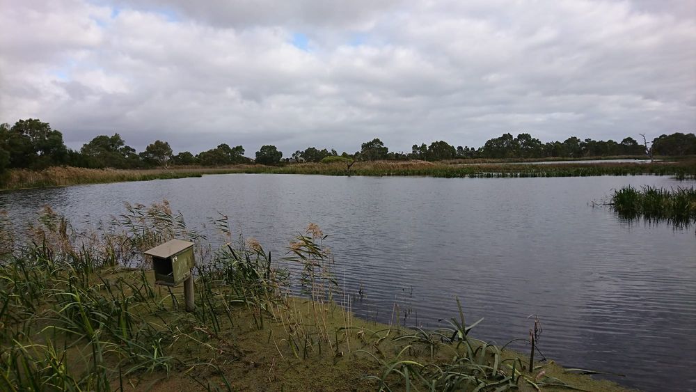 Freeway construction prompts environmental concerns for Braeside Park post image