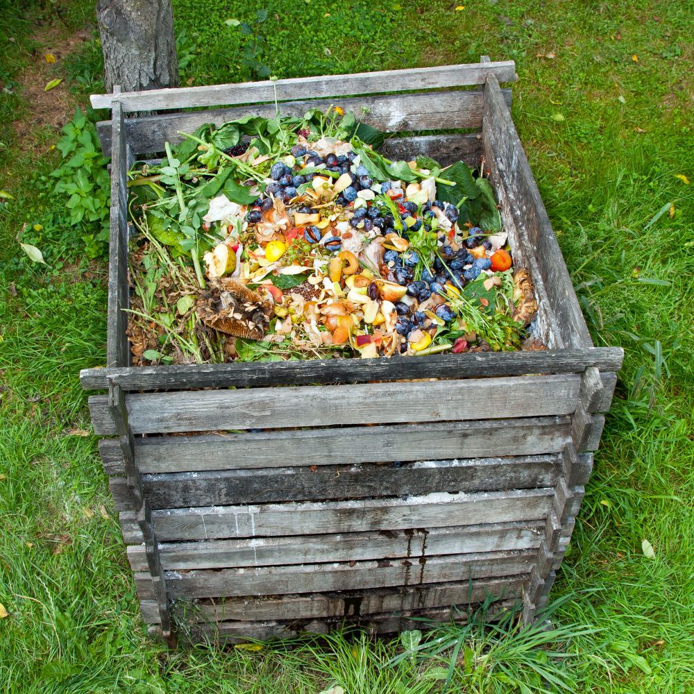 Little goes to waste in council's rubbish plan post image