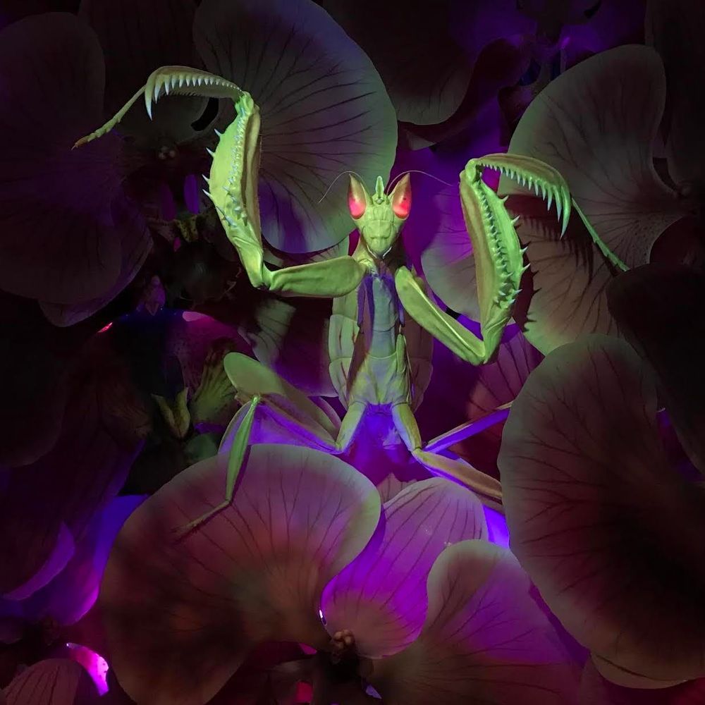 Science meets Hollywood as extraordinary bugs take centre stage post image