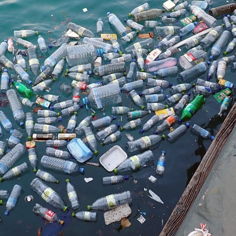 Plastic pollution: How much do you use? post image