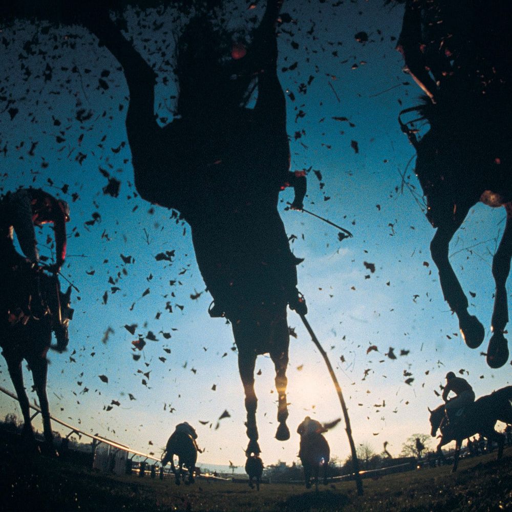 Jumps racing gets a boost post image