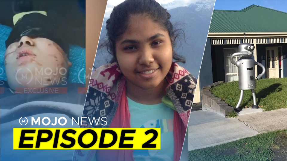 MOJO News: Episode 2 post image