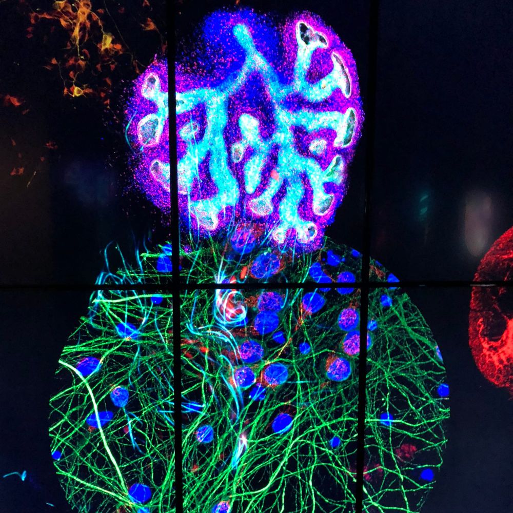 Cacophony, turbulent encounters, energetic vibrations ... teens tackle the power of science post image