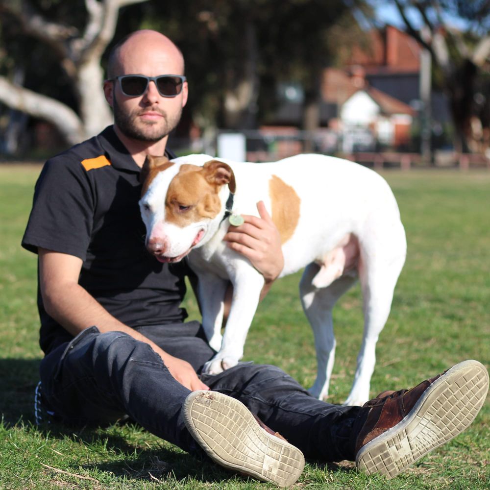 St Kilda dog owners left with nowhere to go post image