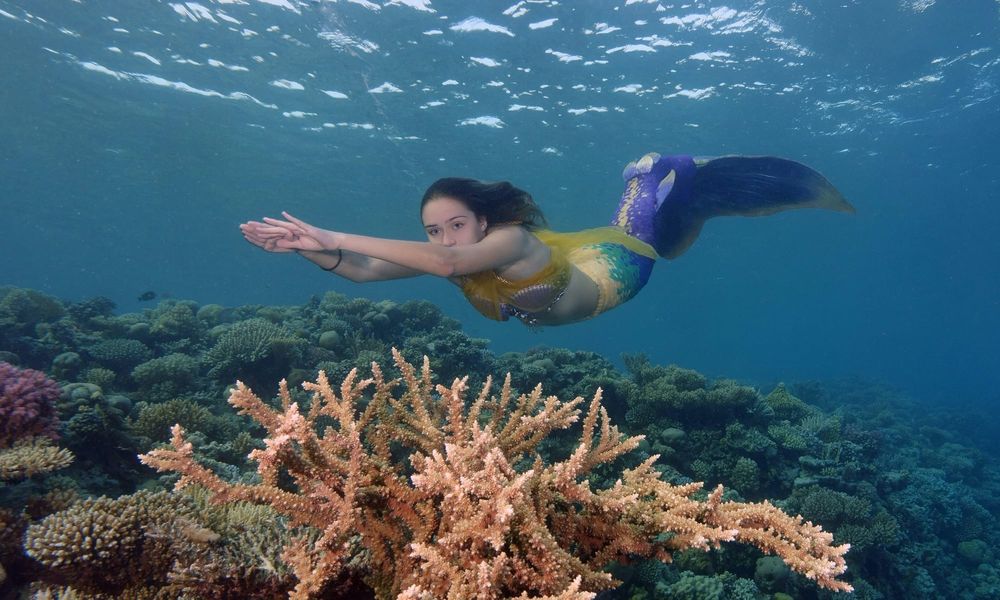 PICTURES: Monash student rides wave of success as a professional mermaid post image