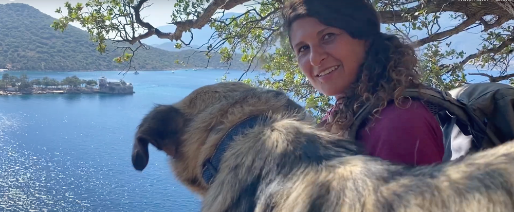 MOJO Docs: The Road to Transformation post image