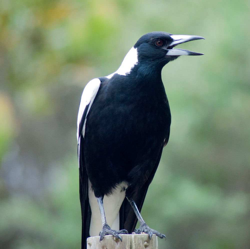 Get a bird's eye view on our city's health post image
