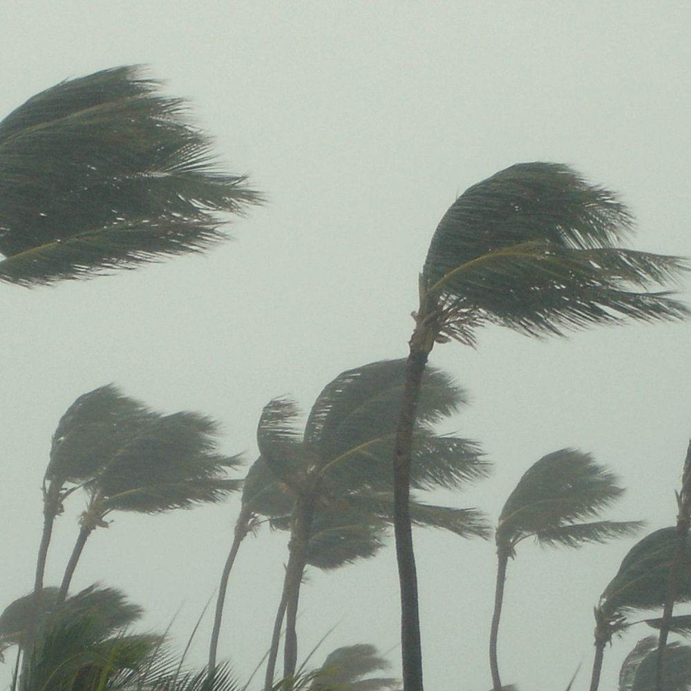 Peace and Gender: 'In a disaster, there is no safe space for women' post image