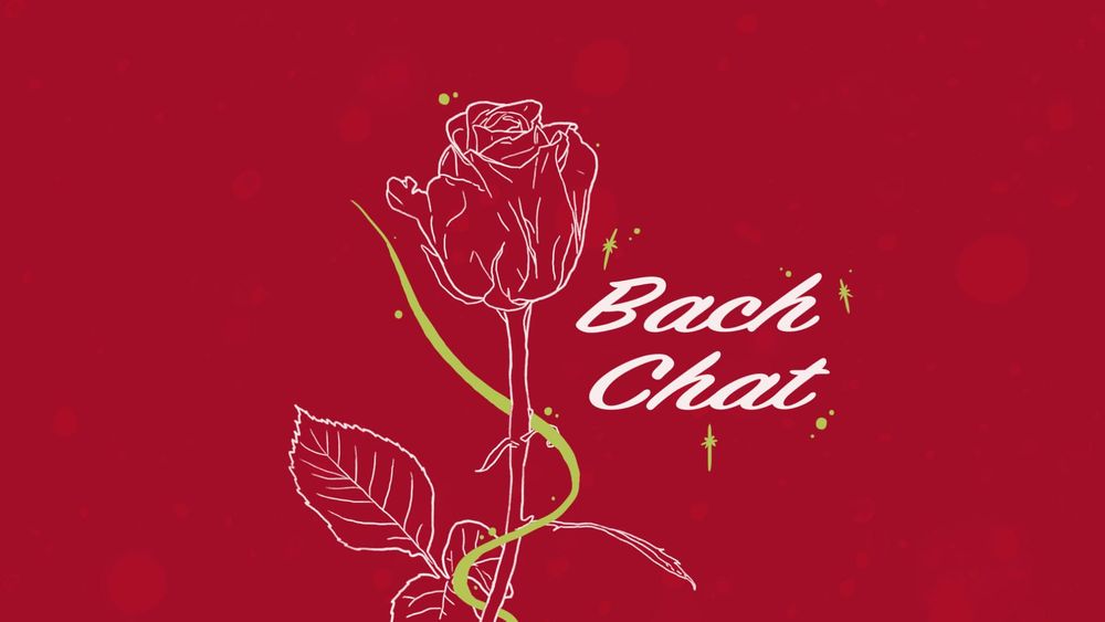 Bach Chat: Blonde tropes, oiled-up blokes and outback dates post image