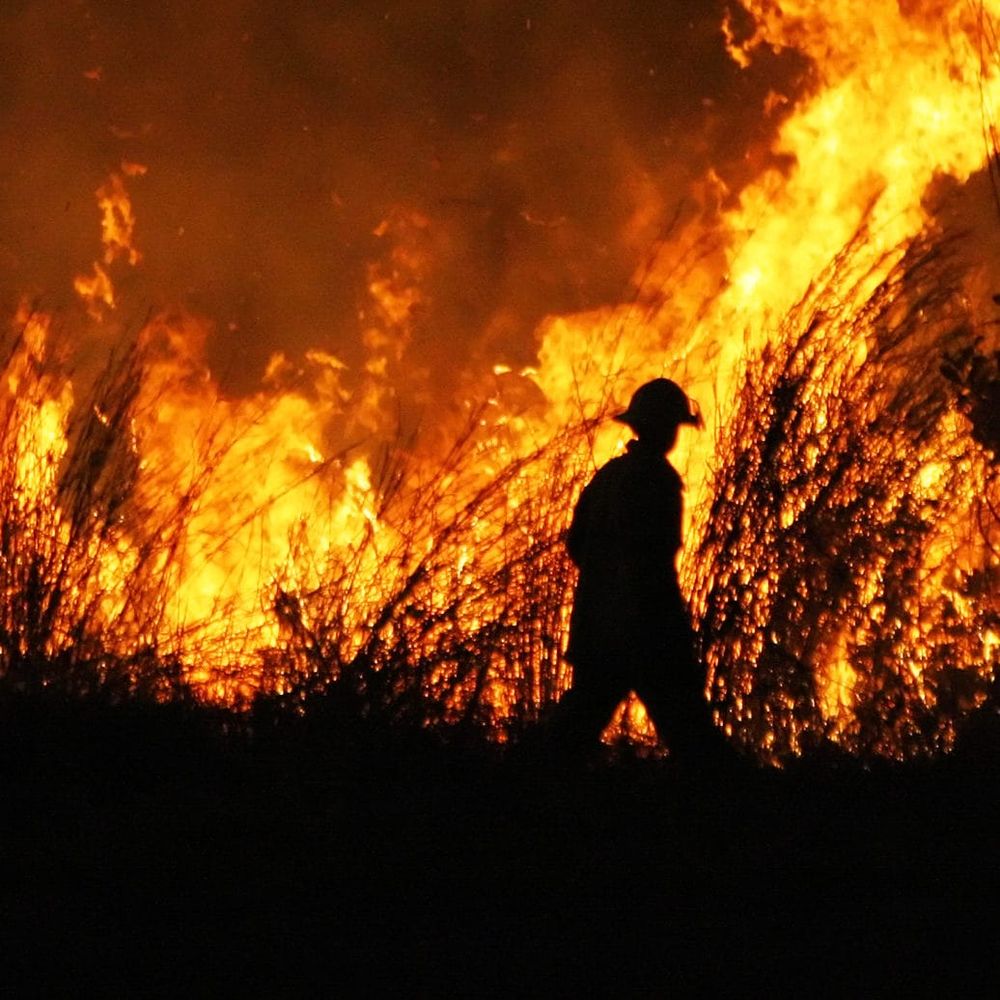 Firefighting brawl still red hot as summer looms post image