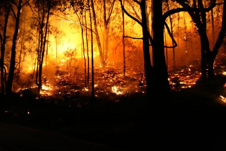 Lives and homes still 'at risk' while bushfire reforms incomplete post image