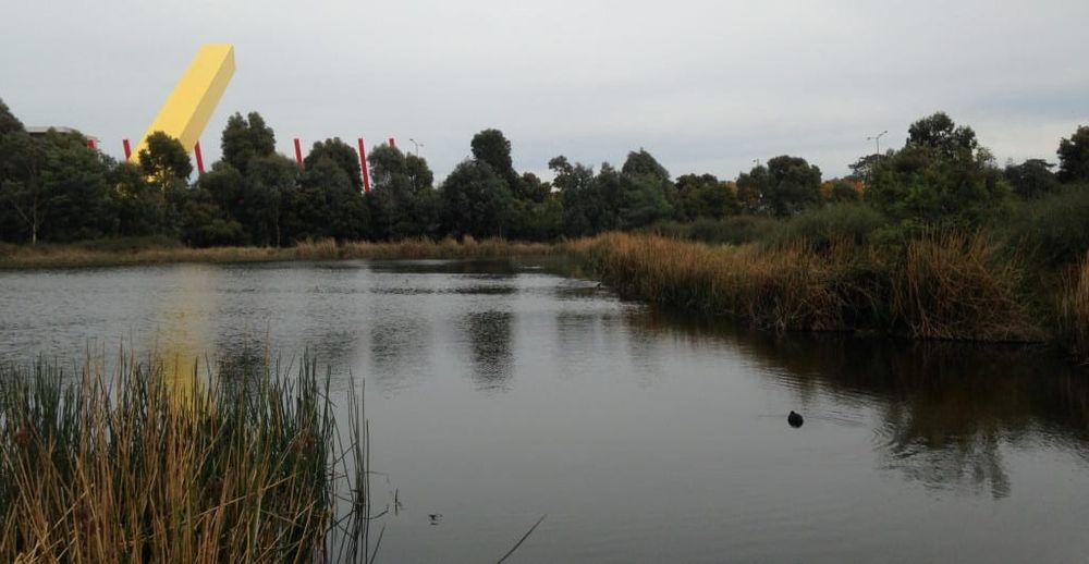 Public disquiet is growing over East West Link threat to Royal Park post image