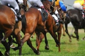 One last time around the track: Nolen relives his time with Black Caviar post image
