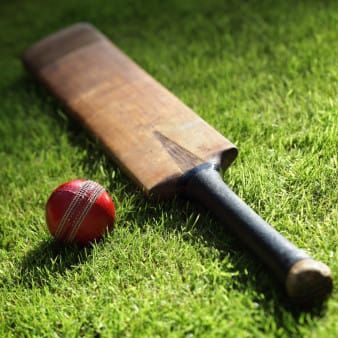 Cricket willow tree project drives investors bats post image