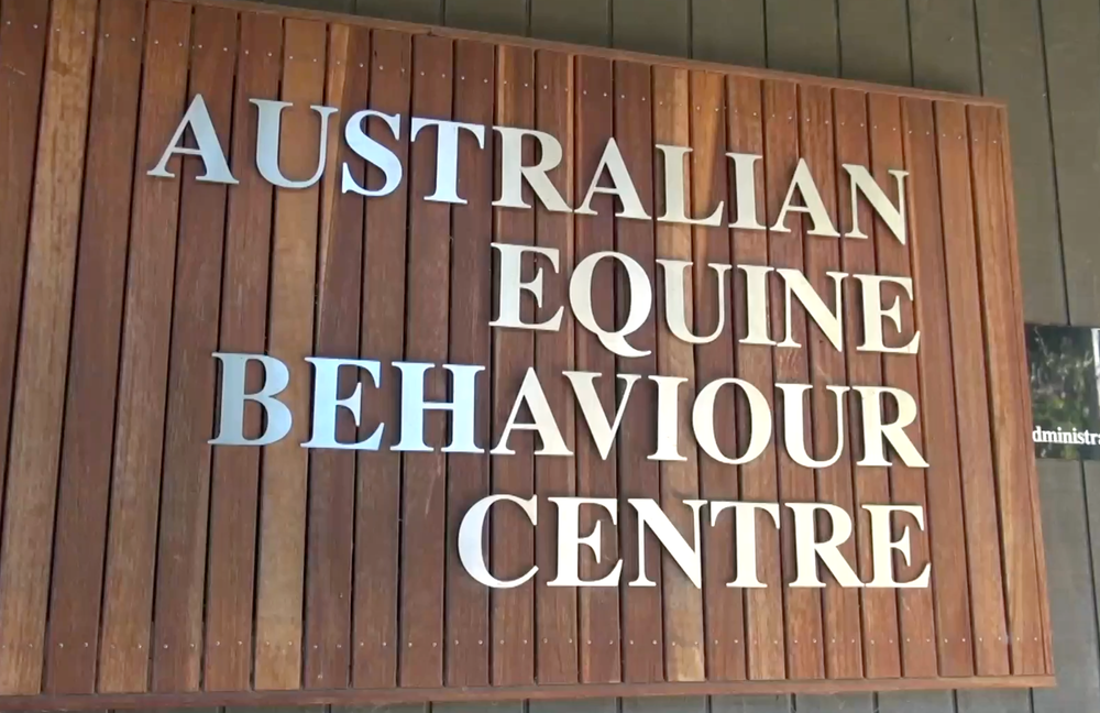 Rural equine business rides into the sunset post image