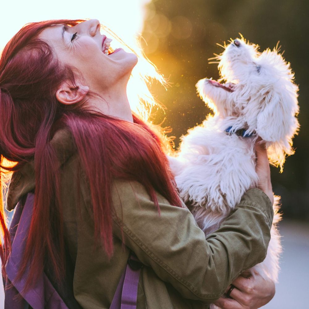 Exam stress? Cue dog cuddle post image