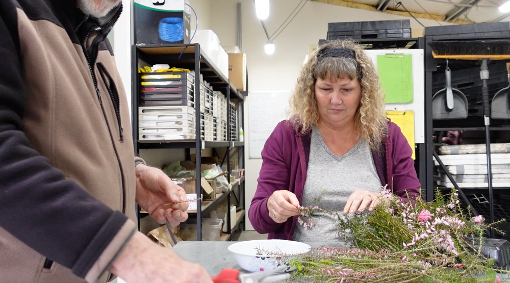 Growing hope for endangered plant species in Knox post image