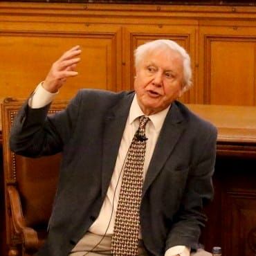Attenborough and Branson back 1.5 degree target for coral reef survival post image