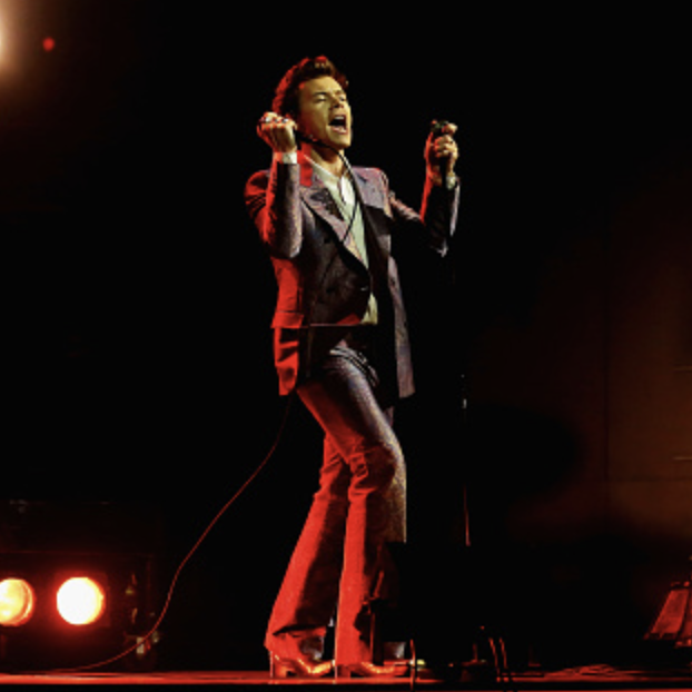 Harry Styles and the importance of fangirls post image