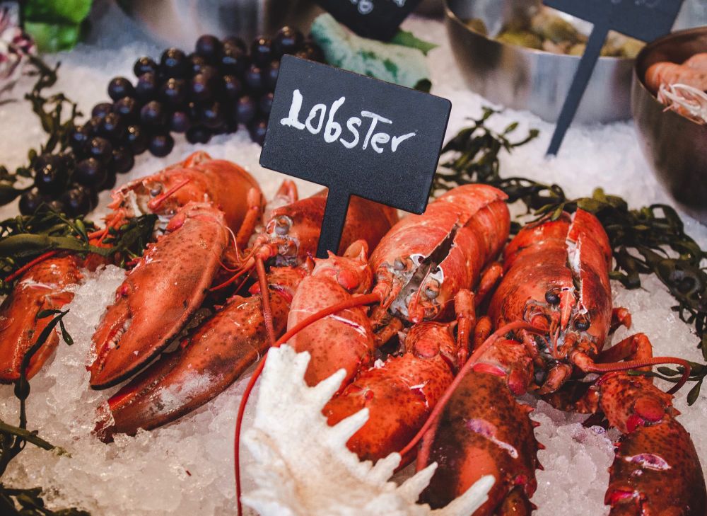 Melbourne seafood markets to net loss ahead of Easter post image