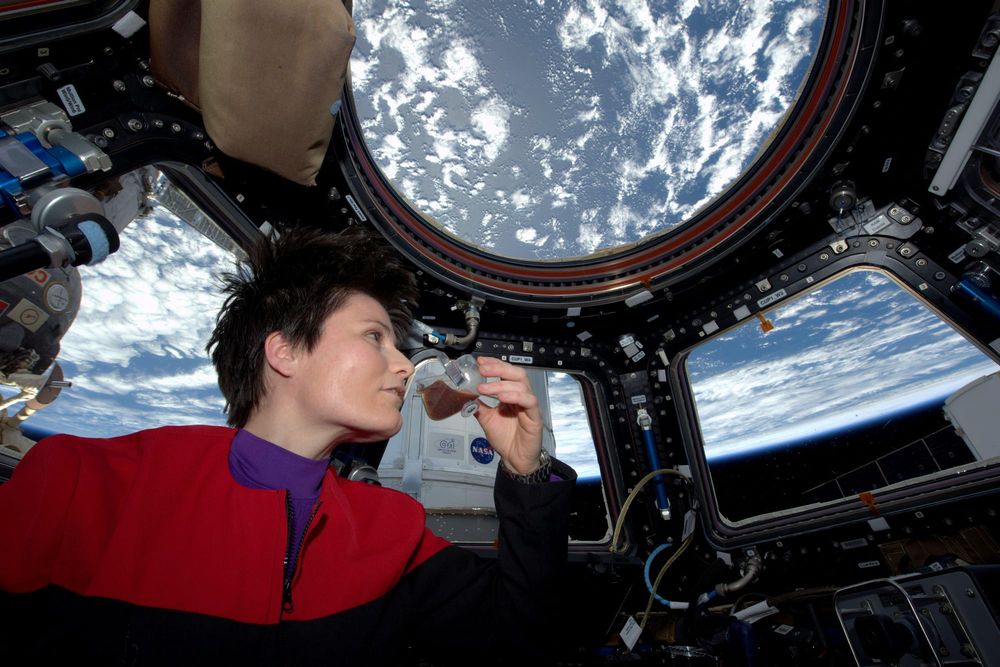 National Science Week: Coffee in space, experimenting with our senses and mind-boggling art post image