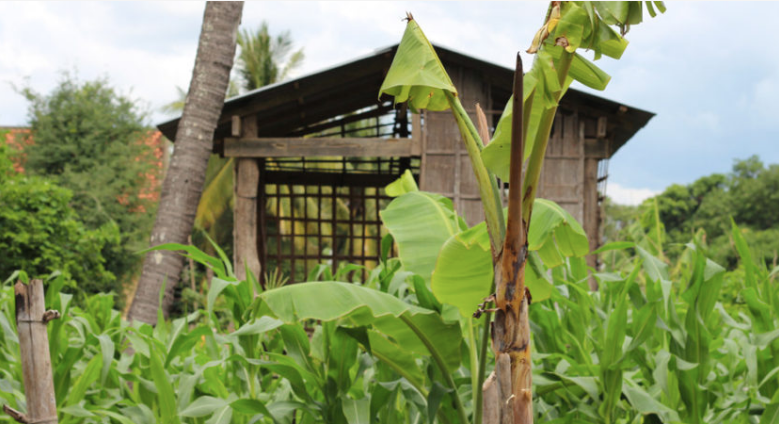 Domestic Violence in Cambodia – Part One: The Rural Challenge post image