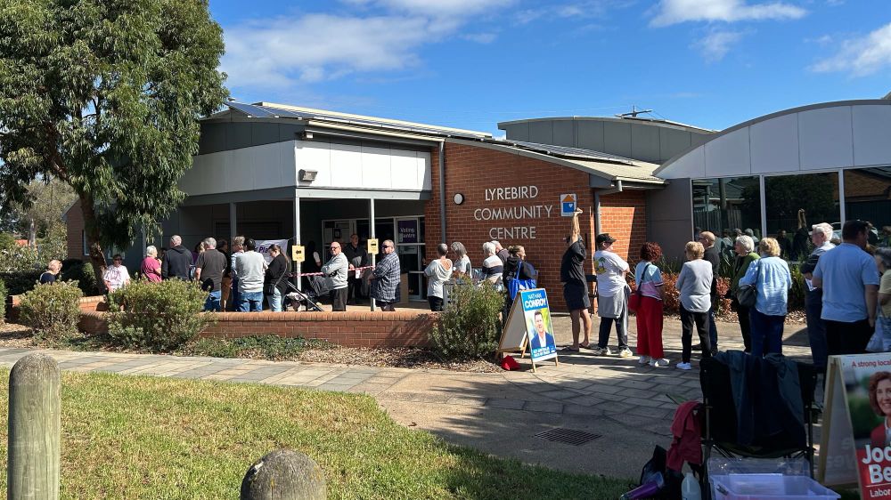 How to vote in the federal election | MOJO explains post image