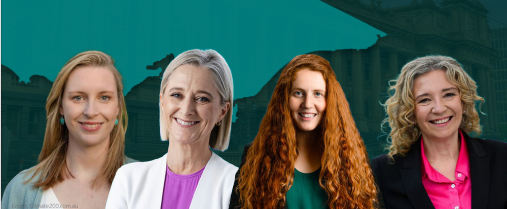 As Saturday approaches, will the teal wave ebb or flow? post image